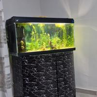 acquario 200 litri 