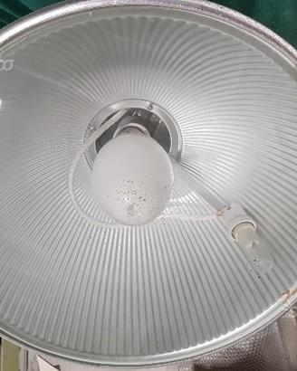 Lampade