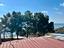 Immagine 15