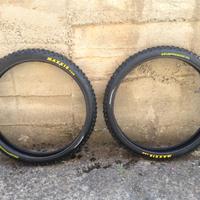 Coppia di gomme Maxxis Swampthing 26x2,5" 2ply ST