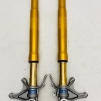 Coppia forcelle ohlins ducati 1199 panigale s r