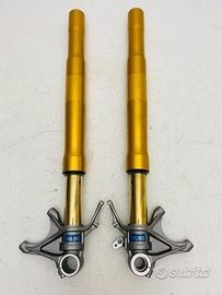 Coppia forcelle ohlins ducati 1199 panigale s r