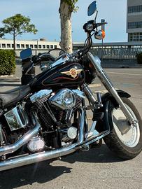Harley davidson fatboy