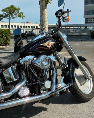 Harley davidson fatboy