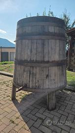 Tino in legno castagno