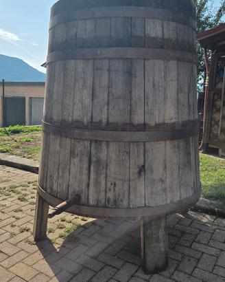 Tino in legno castagno