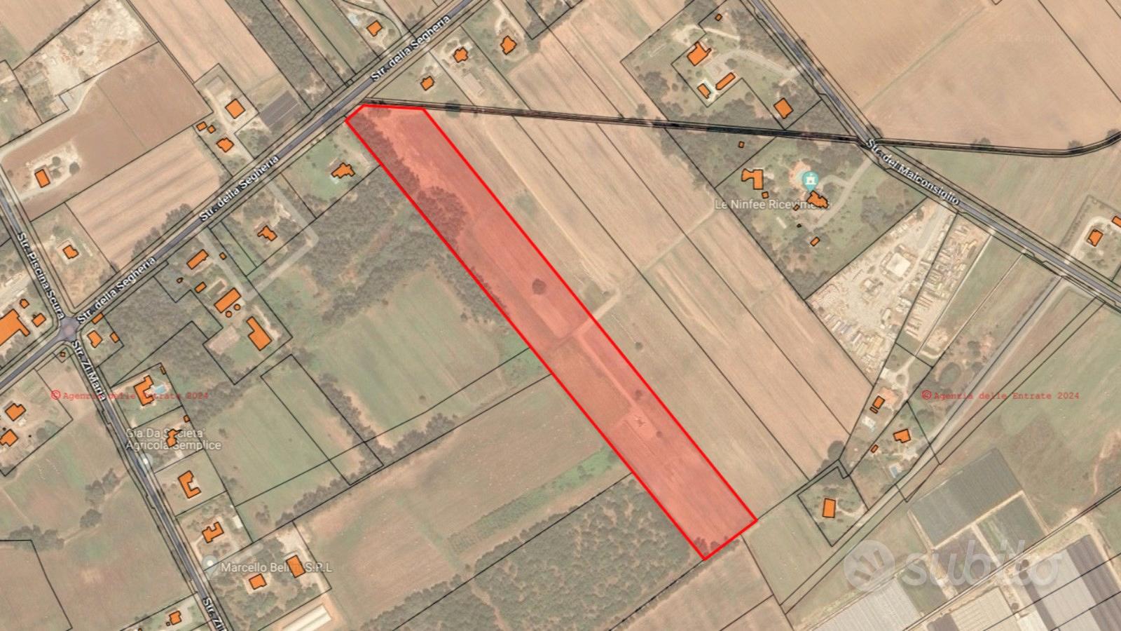 Terreno agricolo 4 ettari fronte strada con pozzo - Vista 5