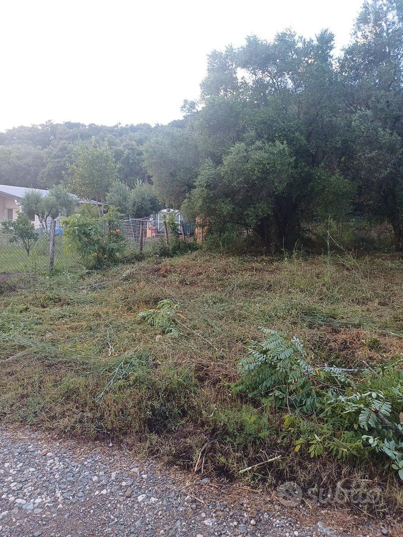 terreno a vibonati - Vista 5