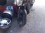Immagine 2
