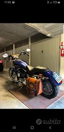 harley custom 1200