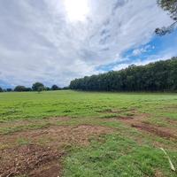Azienda agricola 1000 ha Grosseto