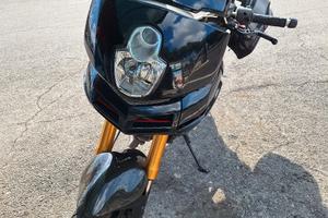 Multistrada 1100s