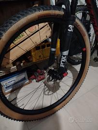 MTB Olympia F1 Carbonio 