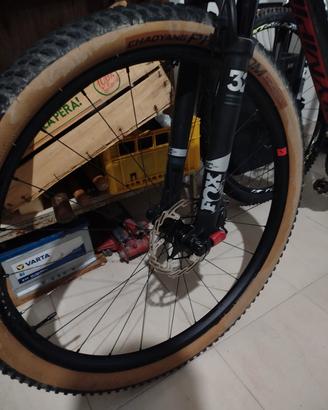 MTB Olympia F1 Carbonio 