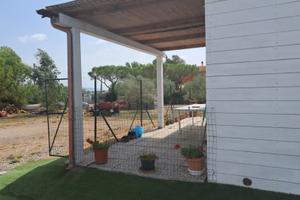 Casa in legno indipendente