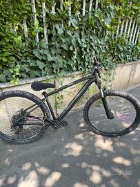 wheelie bike explore 500 bici