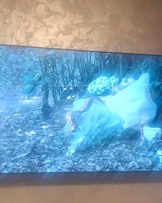 LG OLED 65 pollici