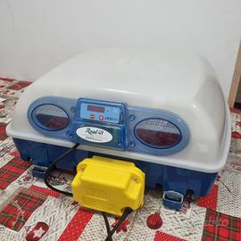 incubatrice Borotto Real 49 