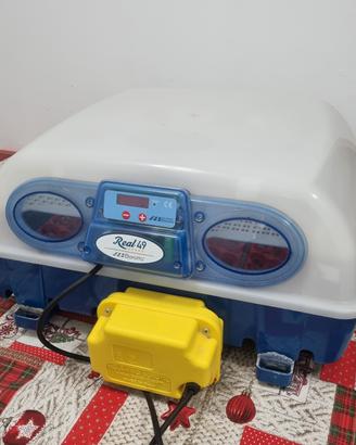 incubatrice Borotto Real 49 