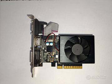 Scheda video GeForce GT730 con 2GB