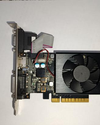 Scheda video GeForce GT730 con 2GB