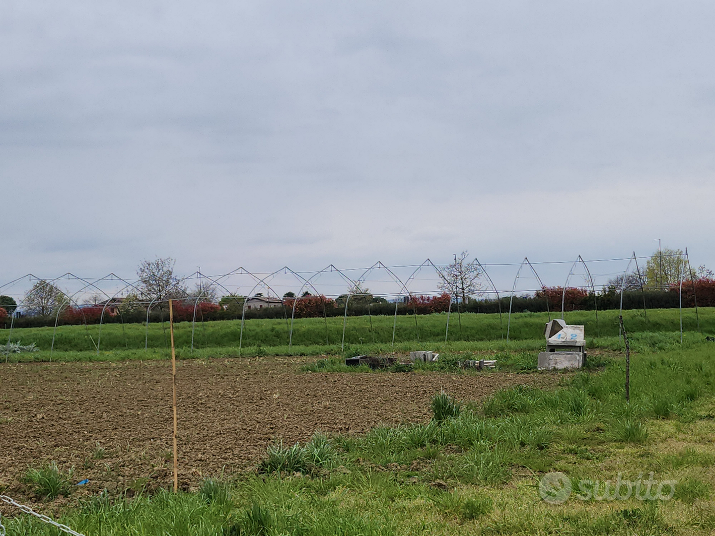 Terreno agricolo Q.10.000 vicino Bagnarola - Vista 4
