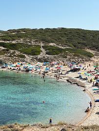 Sardegna Casa pressi Alghero e Stintino