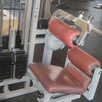 abdominal machine + lower back machine technogym