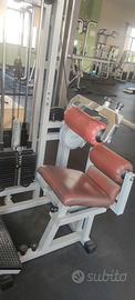 abdominal machine + lower back machine technogym