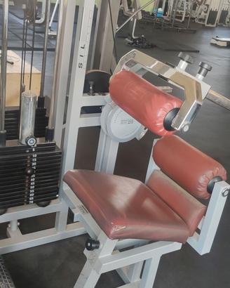 abdominal machine + lower back machine technogym