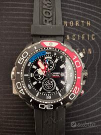 citizen pro  master
