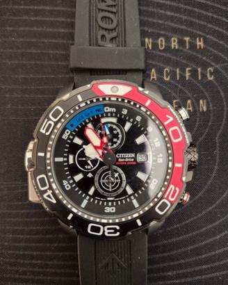 citizen pro  master