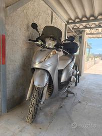 SH 300