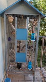 Gabbia Per Uccelli  Con 3 coppie Finch uccelli....