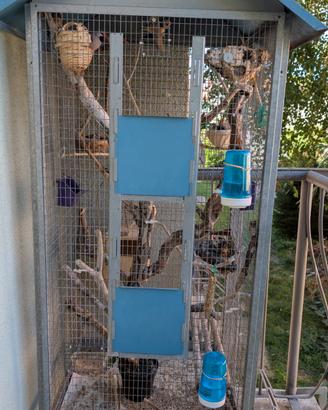 Gabbia Per Uccelli  Con 3 coppie Finch uccelli....