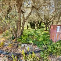 Monreale/monte caputo ampi lotti di terreno