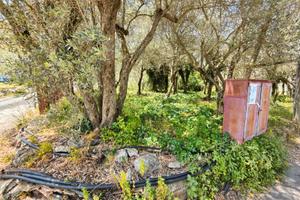 Monreale/monte caputo ampi lotti di terreno