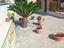 Immagine 26