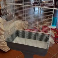 Gabbia per inseparabili