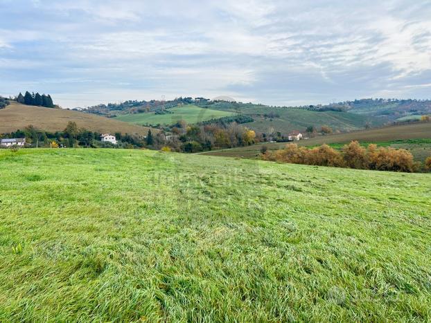 Agricolo a Rimini