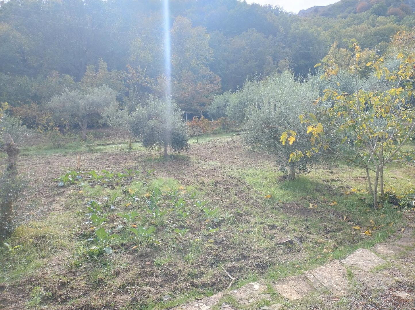 Terreno di 2600mq con casetta di legno di 32mq - Vista 5