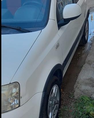fiat panda