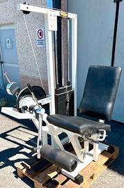 Leg Extension Rehab Technogym Lux