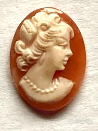 3 CAMMEI di conchiglia di mare con certificato