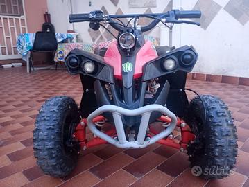 Quad elettrico 1000 watt anno 2020