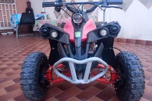 Quad elettrico 1000 watt anno 2020