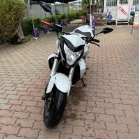 Honda hornet