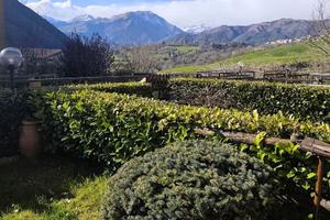 Clusone