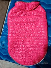 Accessori per cani taglia grande