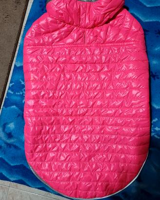 Accessori per cani taglia grande